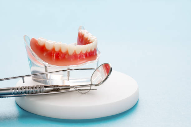 Siesta Acres, TX Holistic Dental Care Services Company
